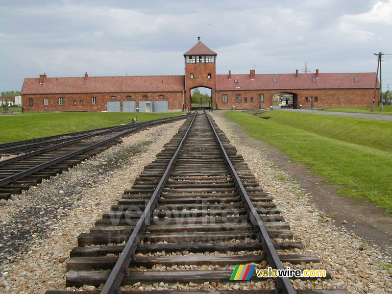 [Birkenau]