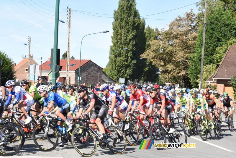 Het peloton wederom in Isbergues