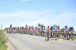 Le peloton regroupé près de Robecq (2) (566x)