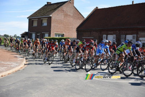 Le peloton près de Gonnehem (2) (541x)