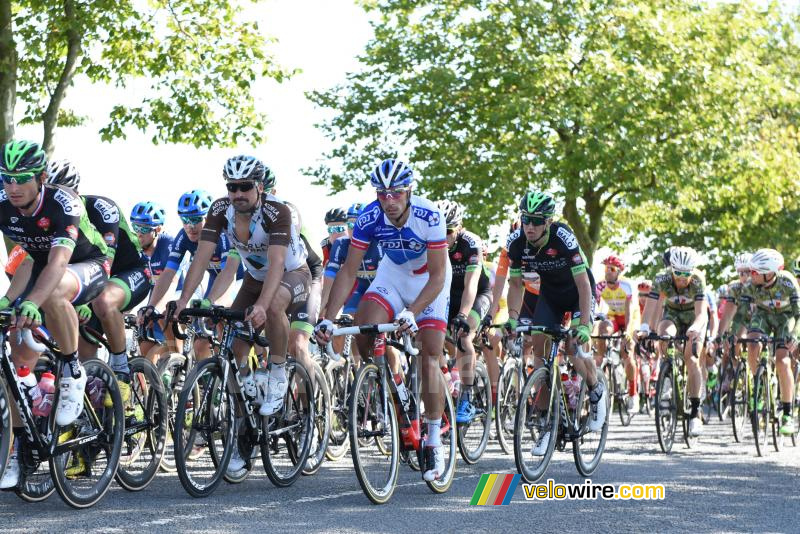 Sébastien Chavanel (FDJ) in het peloton