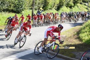 L'équipe Cofidis en tête du peloton (402x)