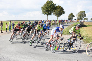 Le peloton près de Coyecques (4) (495x)