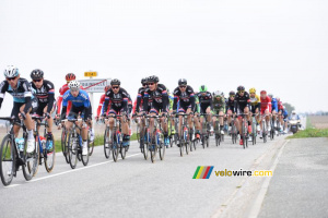 Le peloton à Gérainville (3) (452x)
