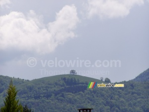 Un arbre seul sur une montagne près de Grenoble (695x)