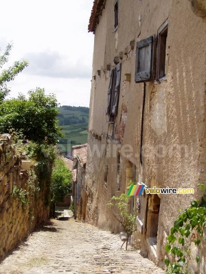 Cordes-sur-Ciel (241x)