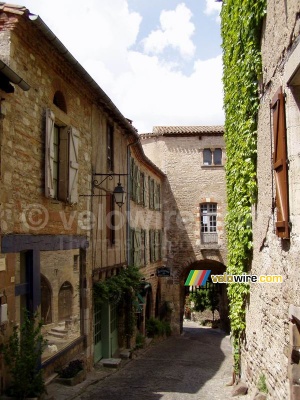 Cordes-sur-Ciel (369x)