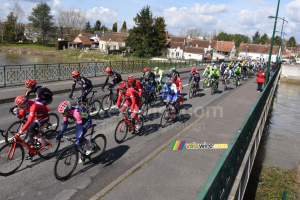Le peloton à Selles-sur-Cher (2) (616x)