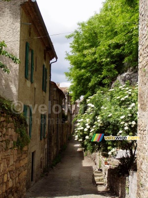 Cordes-sur-Ciel (187x)