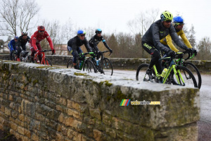 Michael Matthews en jaune dans le peloton à Châteauneuf (593x)