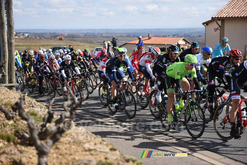 Het peloton op weg naar km 0