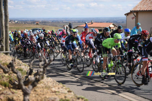 Le peloton dans le fictif (694x)