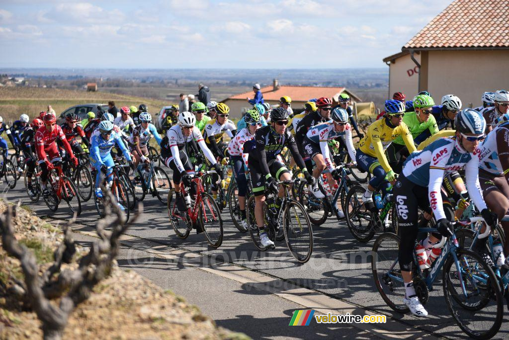 Het peloton met Michael Matthews op weg naar km 0