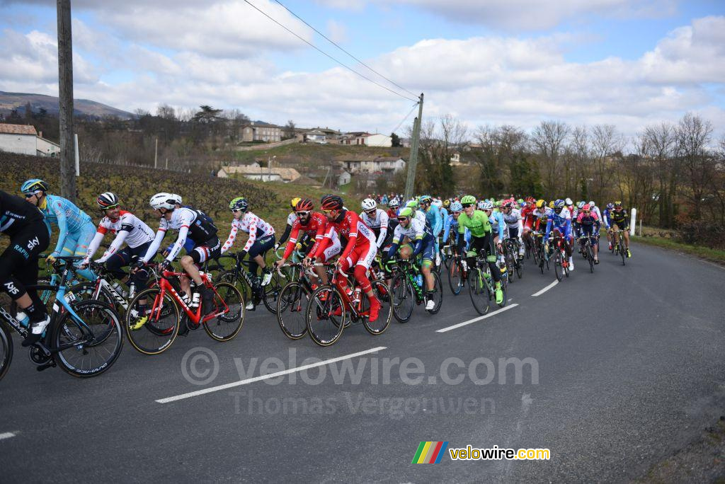 Het peloton vlakbij Fleurie