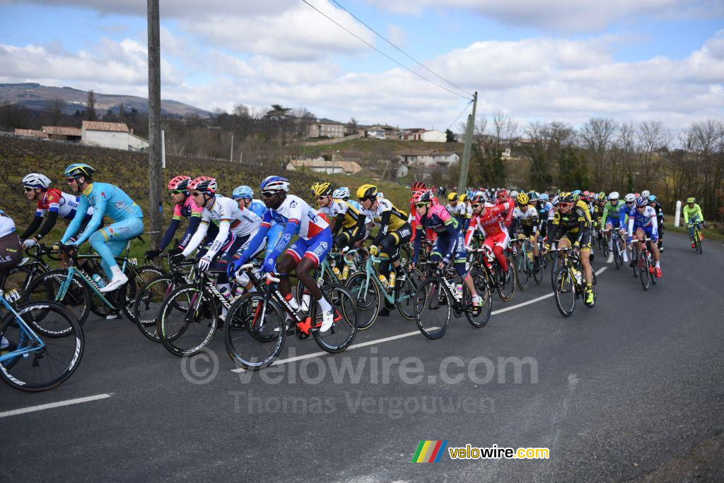 Het peloton vlakbij Fleurie (2)