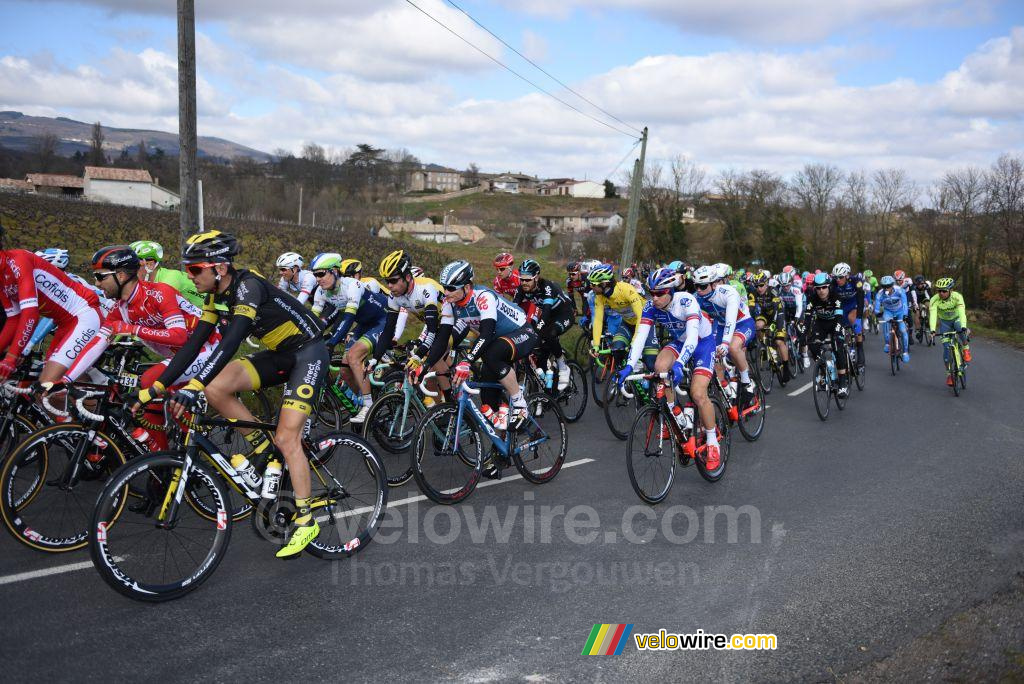 Het peloton vlakbij Fleurie (3)