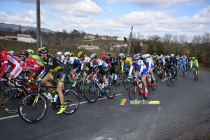 Le peloton près de Fleurie (3) (650x)