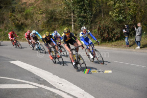 Le peloton en poursuite (2) (639x)