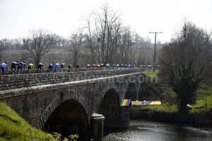 Le peloton sur le pont sur la Sèvre (620x)