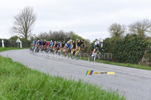Le peloton à la poursuite des échappés (886x)
