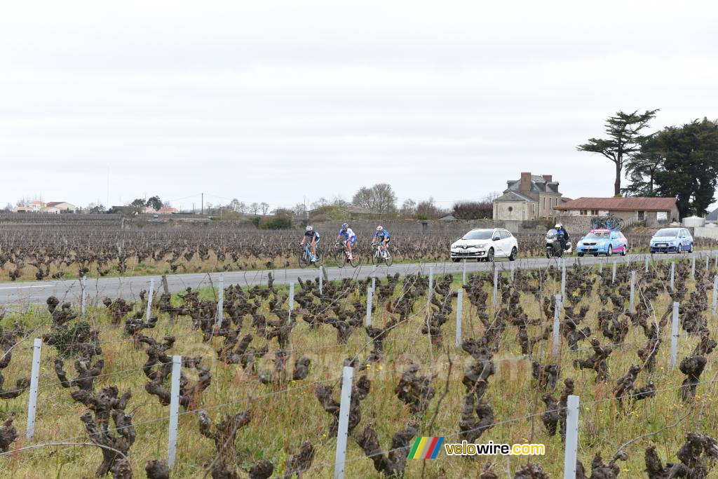 De kopgroep in de wijngaarden