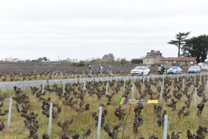 L'échappée entre les vignes (888x)