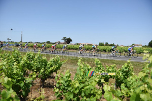 Le groupe de tête dans les vignes (720x)