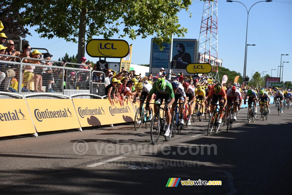 Peter Sagan onderweg naar de overwinning