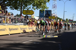 Peter Sagan en route vers la victoire (939x)