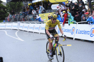 Tadej Pogacar (UAE Team Emirates) (679x)