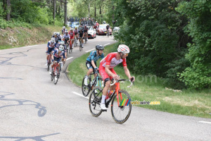 Le groupe de tête dans la première montée du Mont Ventoux (676x)