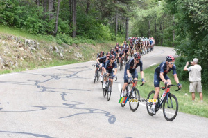 Le peloton dans la première montée du Mont Ventoux (764x)