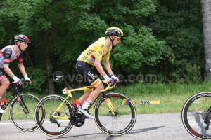 Tadej Pogacar (UAE Team Emirates), maillot jaune (702x)
