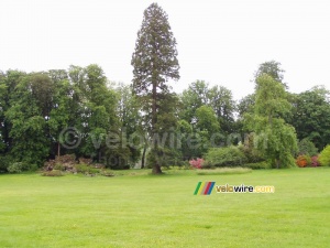 The castle's garden in Fontainebleau (385x)