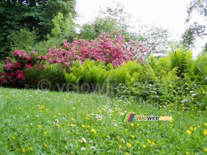 The garden of the castle in Fontainebleau (368x)