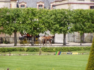 A carriage in the garden of the castle in Fontainebleau (348x)