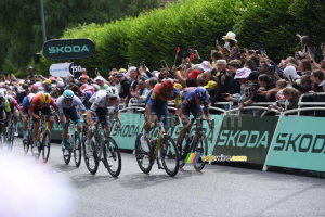 Tim Merlier (Soudal Quick-Step) on his way to victory, ahead of Jonathan Milan (Lidl-Trek) and Phil Bauhaus (Bahrain Victorious) (214x)