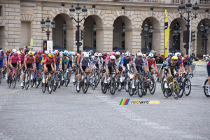 The peloton at the first crossing of the Place de la Concorde in Paris (275x)