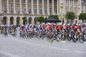 The peloton at the first crossing of the Place de la Concorde in Paris (2) (215x)