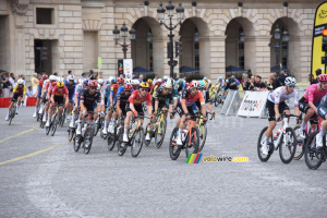 The peloton at the second crossing of the Place de la Concorde in Paris (2) (253x)