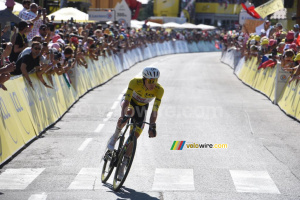 Tadej Pogačar stage winner at Alpe d'Huez (stage 19) (2x)