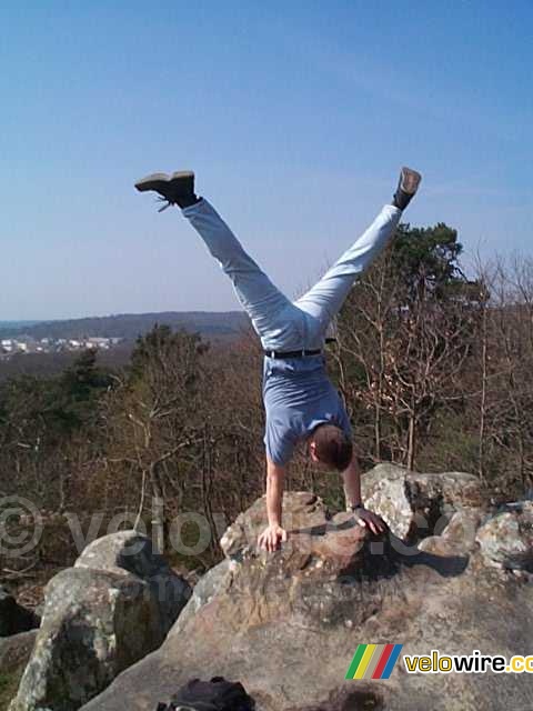 [Fontainebleau]: Stefan