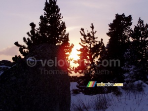 Le soleil à travers les arbres (411x)