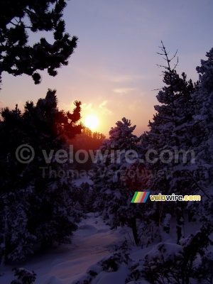 Le coucher du soleil dans un paysage hivernal (430x)