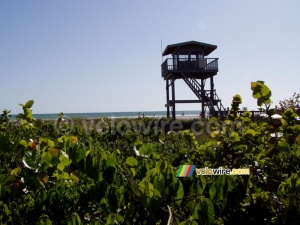 Coast guard tower on the beach of Sarasota (425x)