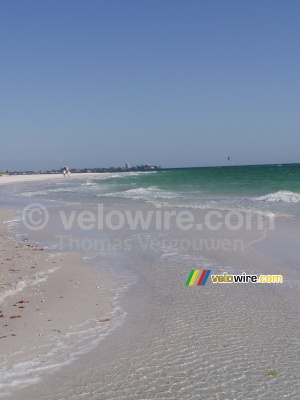 Sarasota's beach (407x)