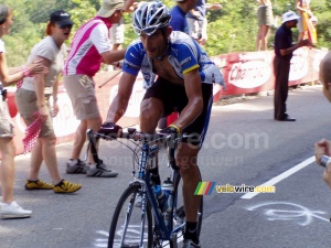 George Hincapie (904x)