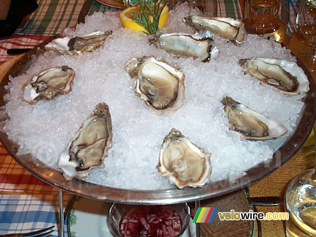 Oesters van Krzysziek