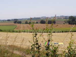 Les rouleaux de foin dans le champ (362x)