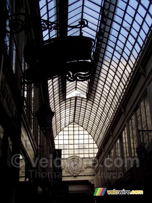 The roof of the Passage Verdeau